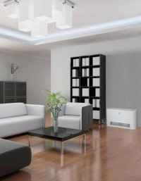 electrolux_eff_250